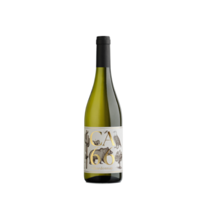 CA66 Chardonnay 2024 Hannes Sabathi